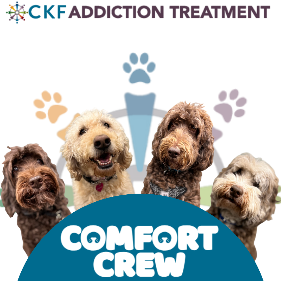 CKF Addiction Treatment introduces new program, "Comfort Crew." Courtesy of CKF Addiction Treatment
