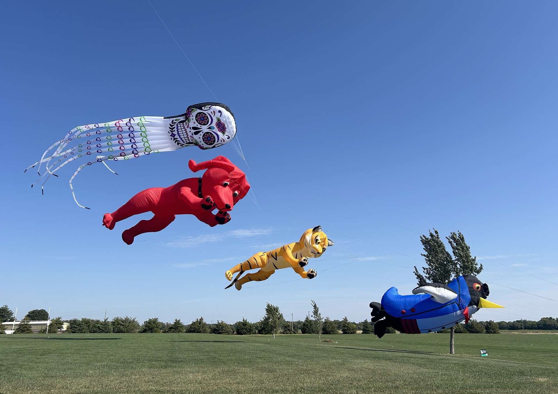 Hays Prairie Winds Kite Show. File photo/Hays Convention and Visitors Bureau