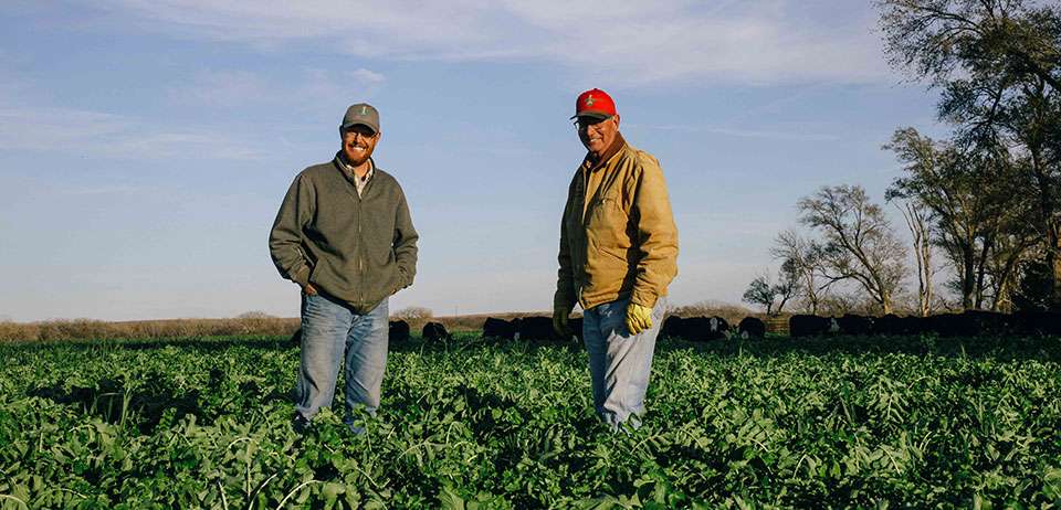 Jeremy Kootz (left) and Charlie Kootz incorporate cover crops to boost soil health and feed livestock on their central Kansas farm. (Photo courtesy K-State Research and Extension)