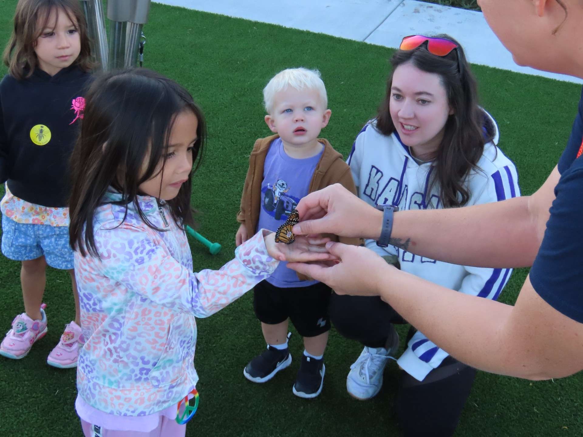 Kansas Wetlands Education Center Butterfly Festival. File photo by KWEC