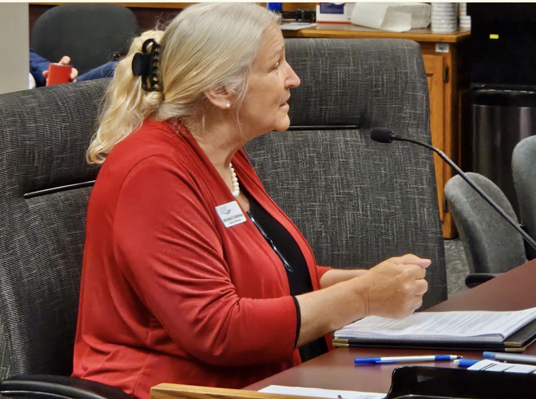St. Charles County Collector Michelle McBride testifies Wednesday during a hearing of the Missouri House Special Interim Committee on Property Tax Reform (Rudi Keller/Missouri Independent).