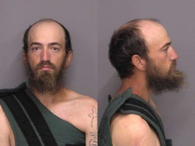 Friedlander, Nathan Todd