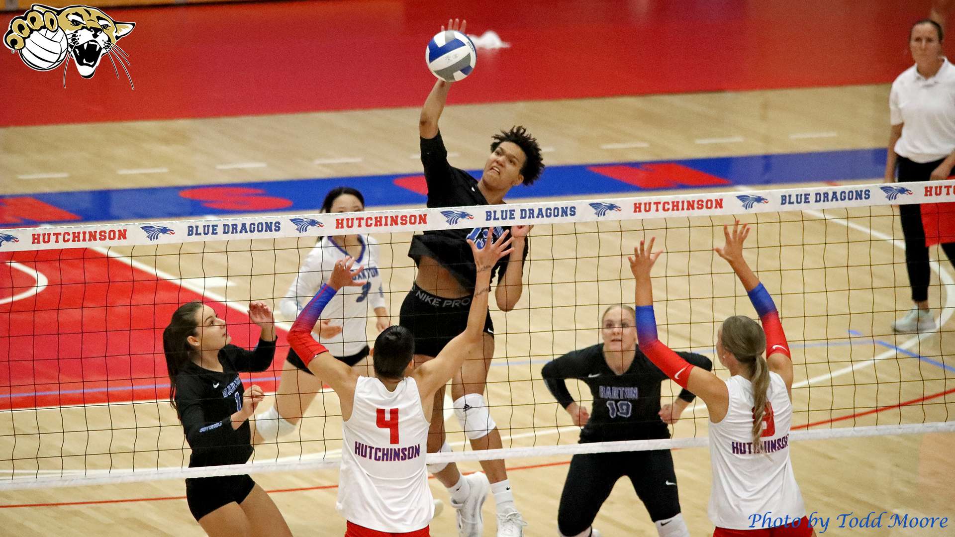 Indigo Pruitt - Photo by Todd Moore