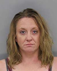 <b>Amanda Journey - Theft-Shoplifting $0-$500/3rd/Subs</b>
