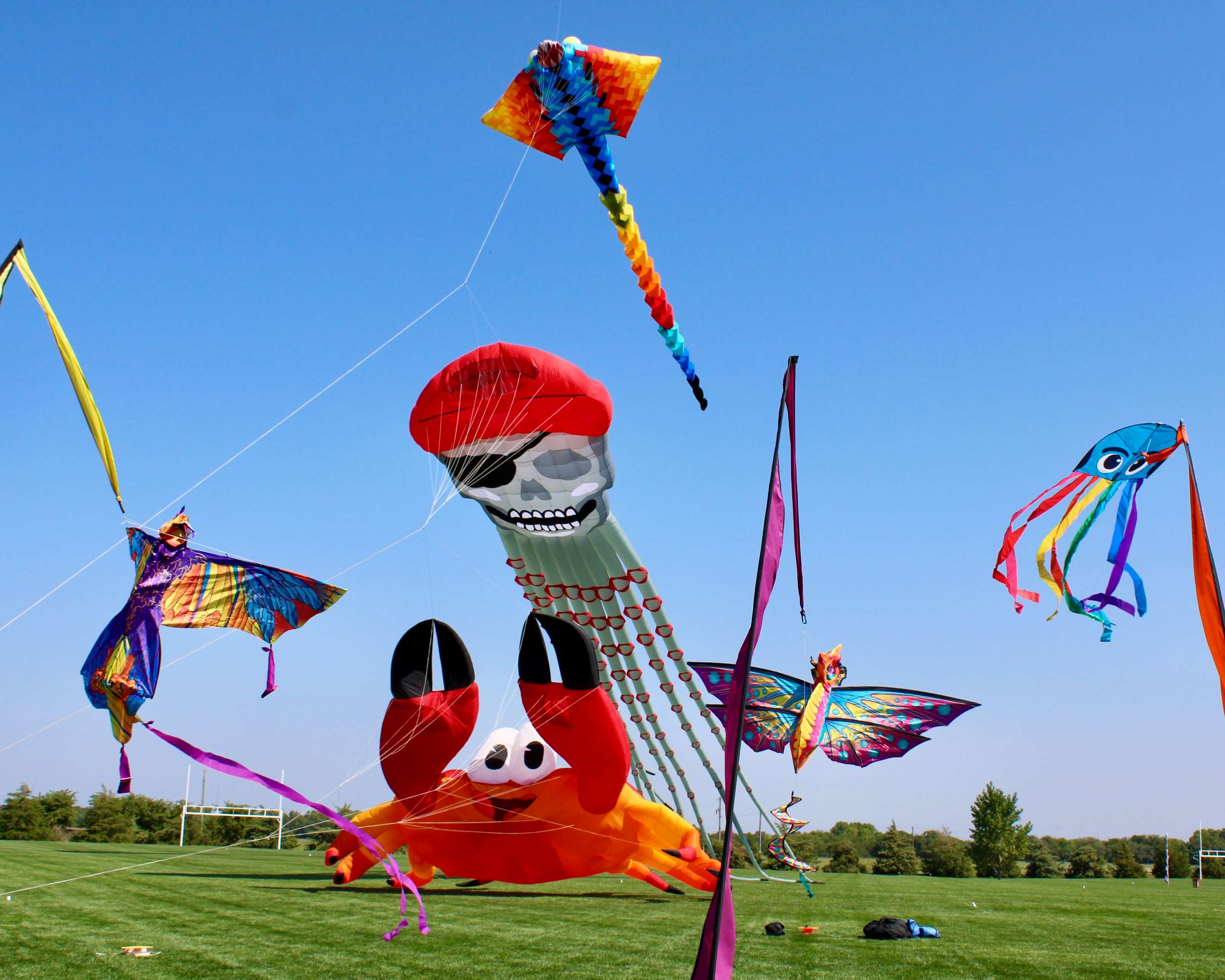 Massive kites, provided by&nbsp;Great American Kites &amp; Events of Missouri, during the&nbsp;Hays Prairie Winds Kite Show. Photo by Tony Guerrero/Hays Post&nbsp;