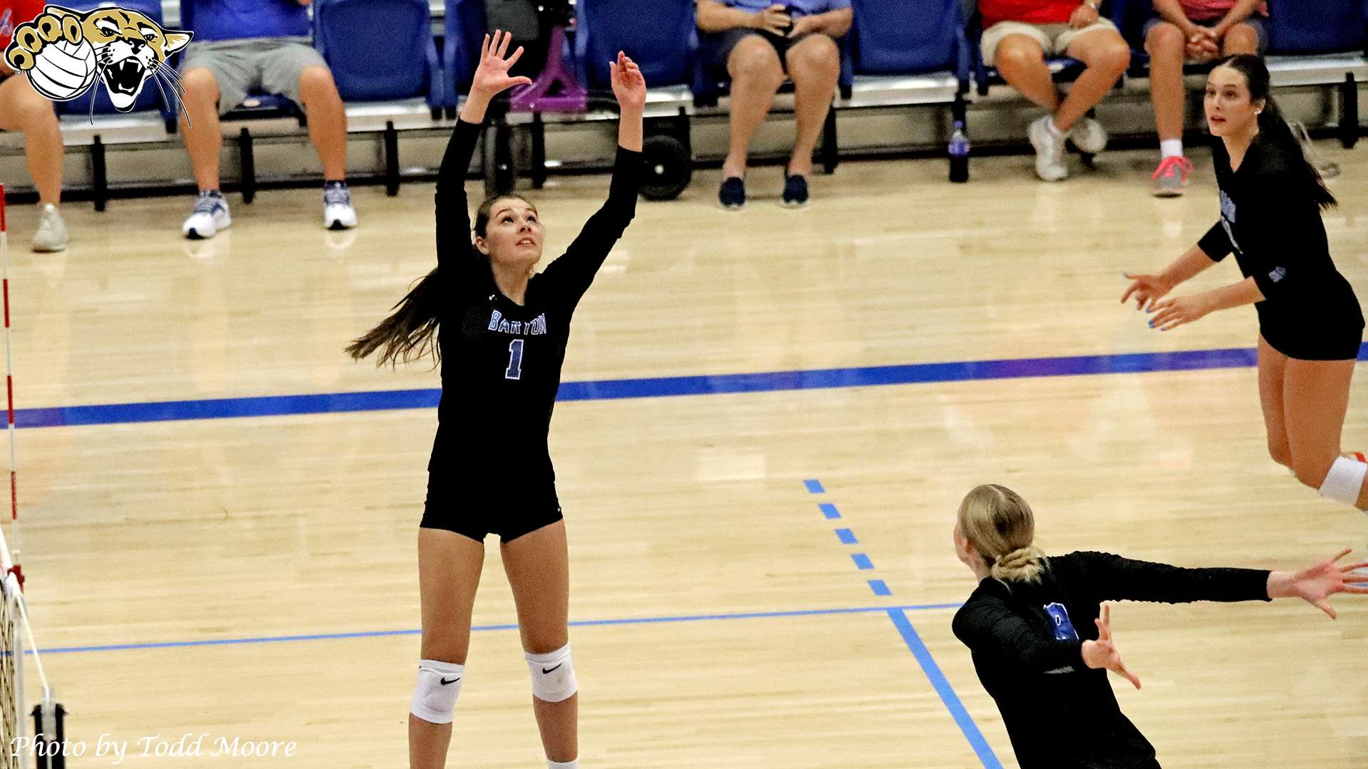 Janka Tolnai - Photo by Todd Moore