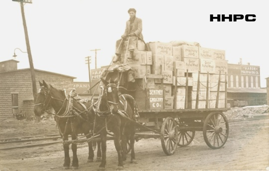 Sentney Grocery Co. wagon in front of Aaron Poultry - Avenue C &amp; Walnut - c. 1908. Courtesy of the Conard-Harmon Collection.