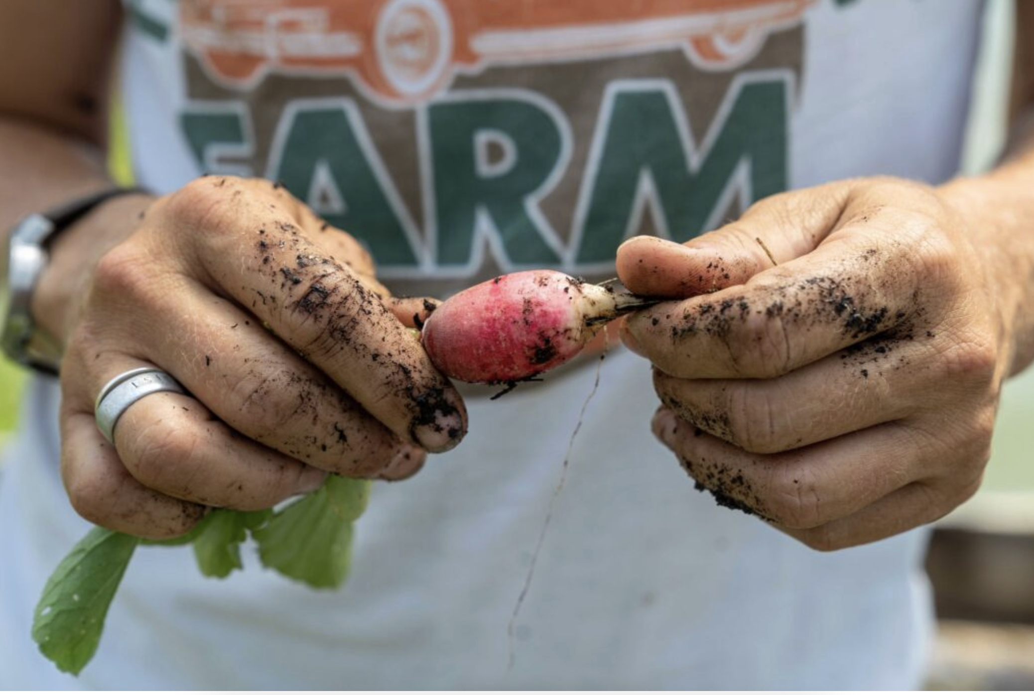 USDA announced funding for its Farm to School Grant program. (Photo by Brandon O’Connor, NRCS/USDA )
