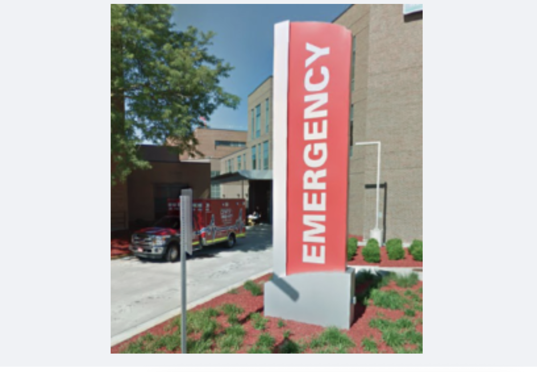 Google image
