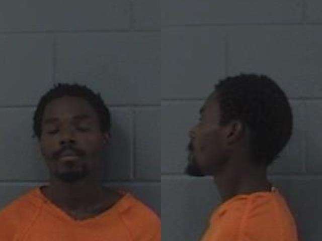 William Taylor, Criminal damage to property (Six counts); Interference with LEO, Knowingly flee by means other than motor vehicle for felony case (Two counts); Burglary, arrested 09/15