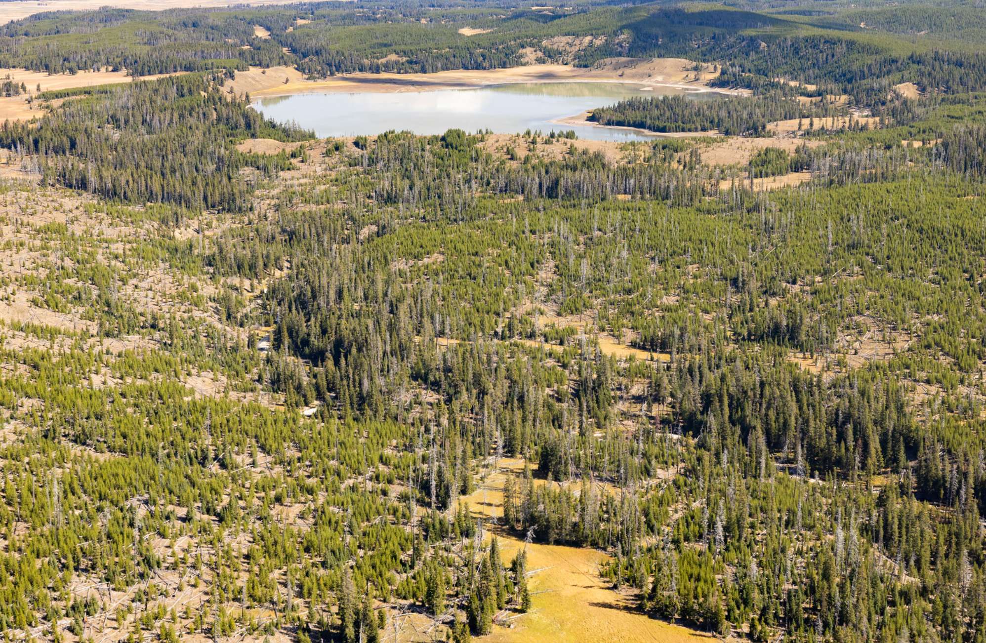 Turbid Lake photo by Jacob W. Frank National Park Service