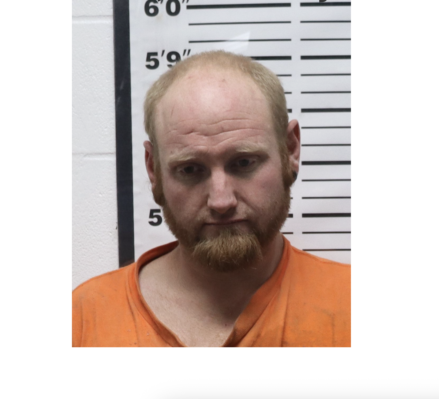 Davis photo Pratt Co. Sheriff