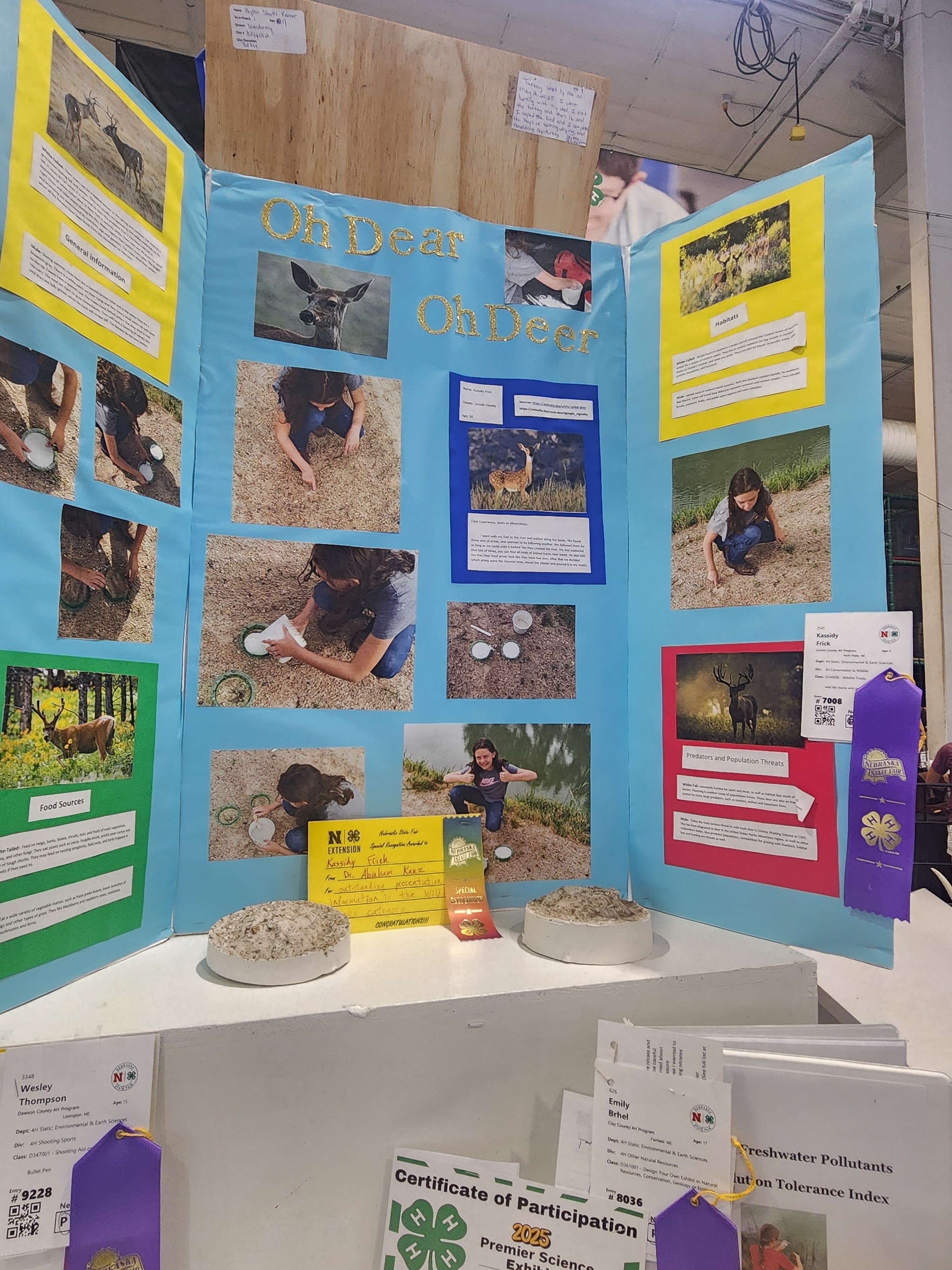 Kassidy Frick's wildlife tracks display. Courtesy Caitlyn Jacobson.