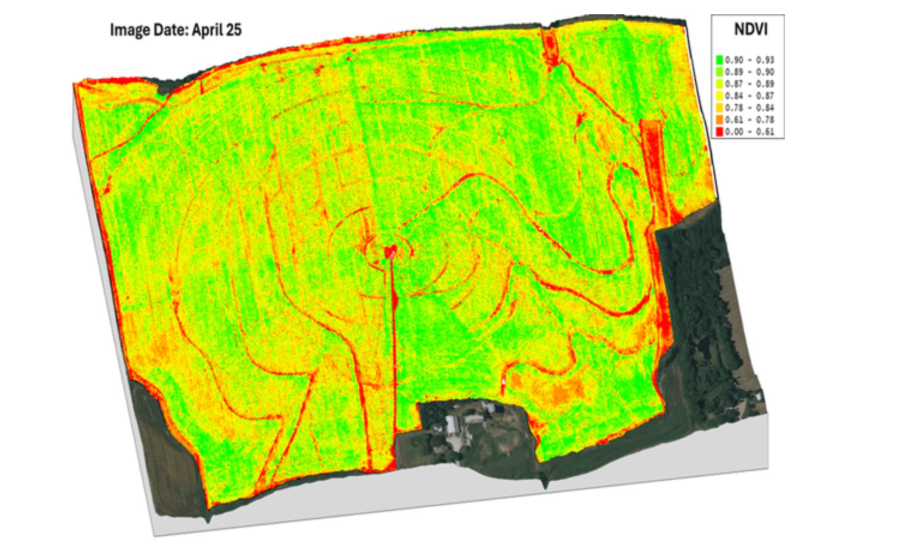 Figure 2. Crop growth variability within the same field based on NDVI derived from drone imagery. Image credit: Deepak Joshi/Flickner Innovation Farm.