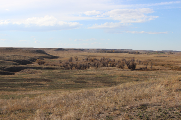 NPS Photo: Agate Fossil Beds National Monument after a prescribed burn in 2014.