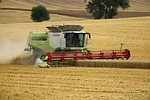 Sens. Moran, Ernst introduce bill to increase access to CDL's during harvest