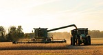 Sheriff investigating suspicious activity near harvest fields