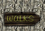 Walk with a Doc
