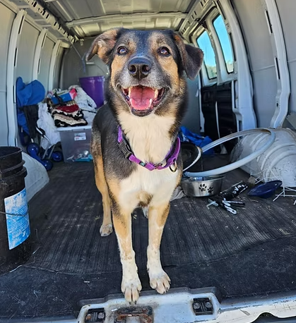 Mecha - Pratt Area Humane Society