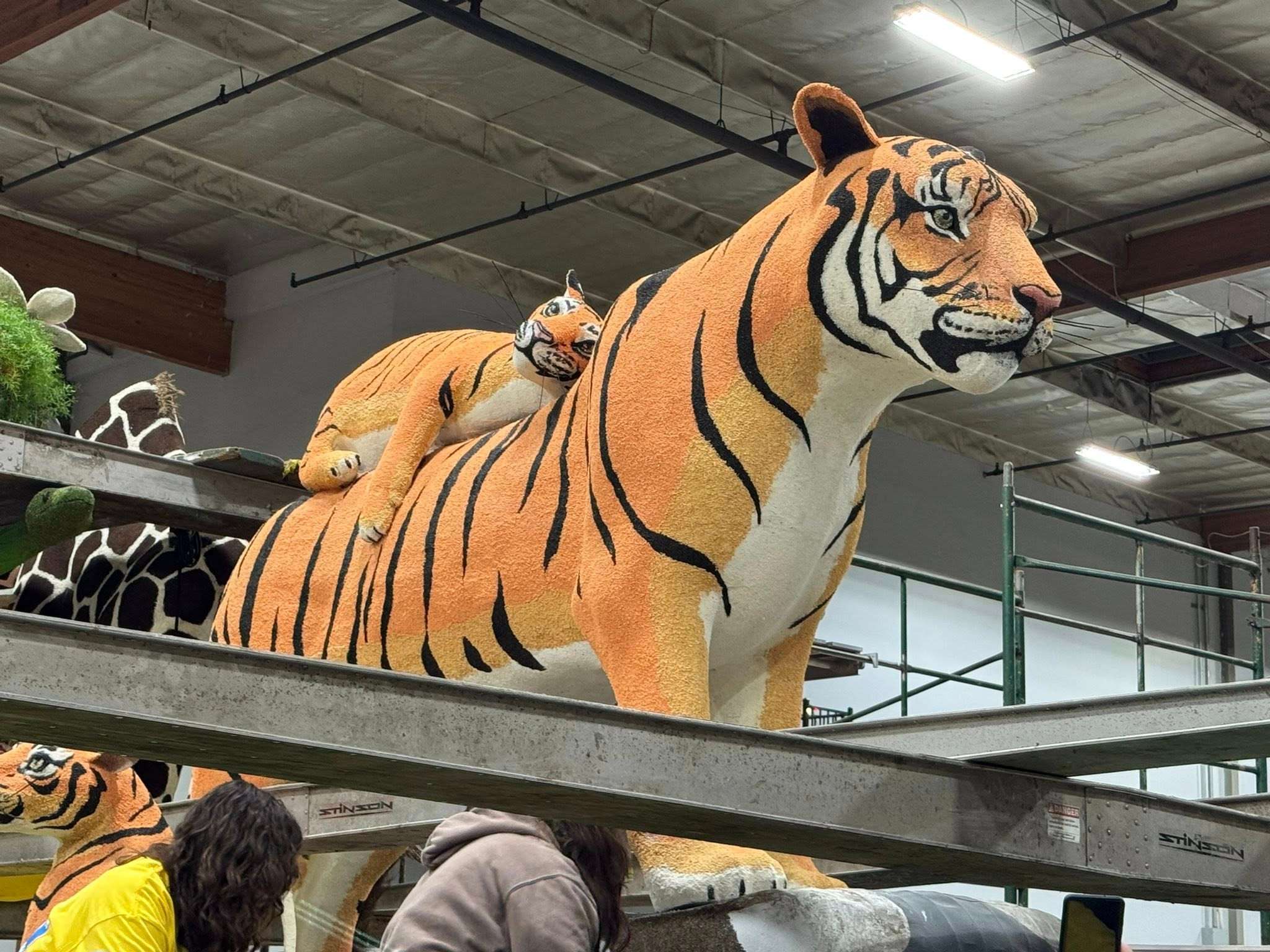 Workers placing a tiger on a Tournament of Roses Parade float. (Photo courtesy Shirley Nisly)