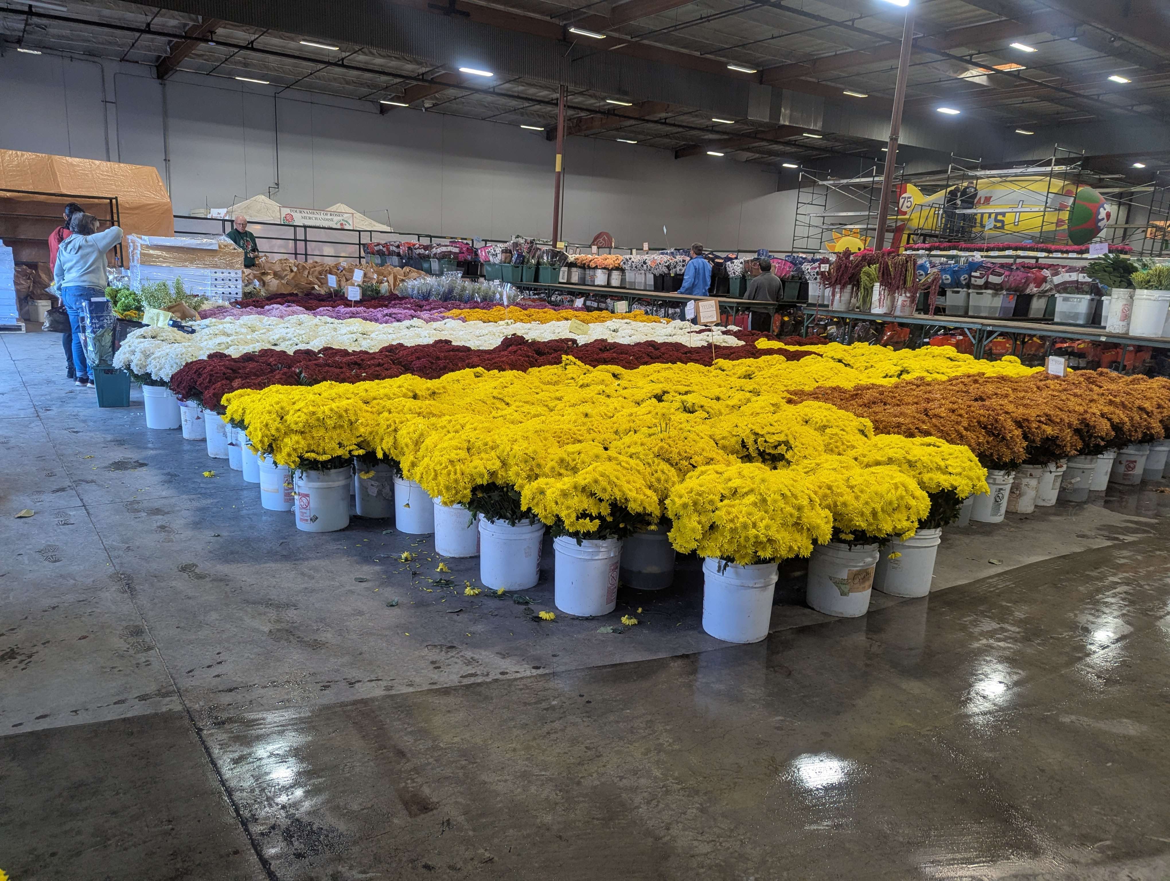 Buckets of fresh flowers wait to be used on Tournament of Roses Parade floats. (Photo courtesy Shirley Nisly)