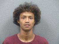 <b>Dilan Martinez - Criminal Mischief $501-$1499, False Reporting, Trespassing</b>