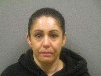 <b>Amber Araujo - Resisting Officer, Obstructing the Police, Disturbing the Peace, Fugitive from Justice, Contempt of Court</b>