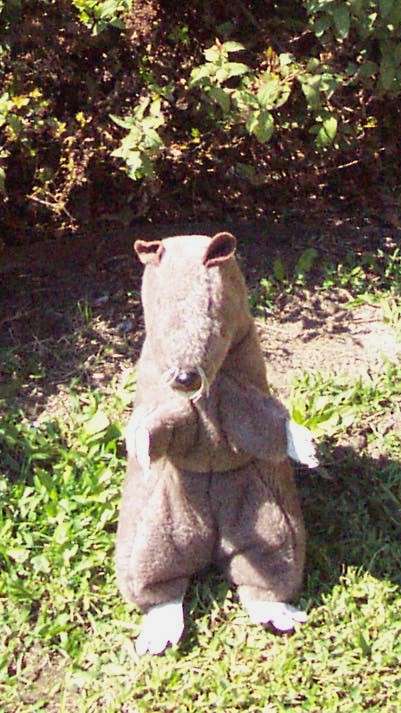 tessie - courtesy of NCMC