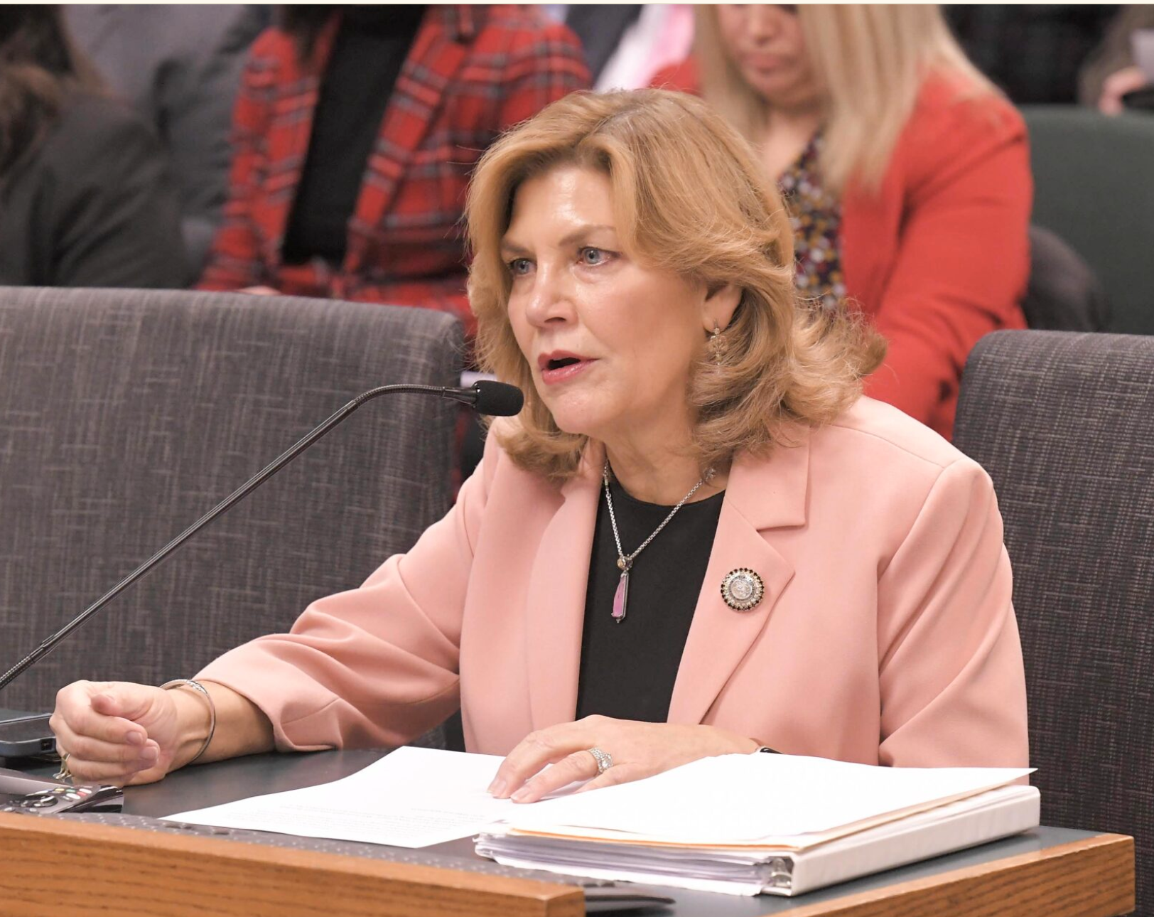  State Rep. Brenda Shields, pictured presenting her child care tax credit legislation in a January 2024 House hearing, is hoping to expand gifted education in a bill heard by the House Education committee Thursday. Shields, a Republican from St. Joseph, estimates that 20,000 gifted students in Missouri are not receiving specialized classes to meet their needs (Tim Bommel/Missouri House Communications).