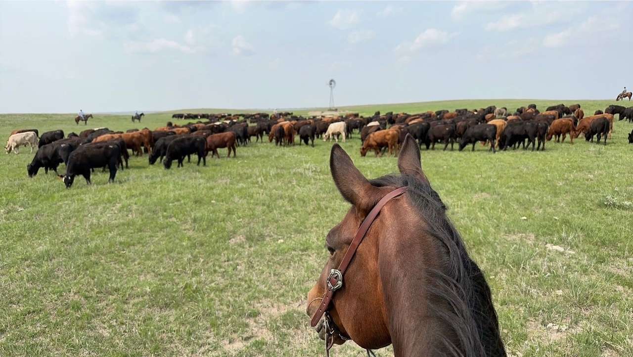  Pawnee Springs Ranch based in Lincoln County is headquartered along the North Platte River and has rangeland spanning north into the Sandhills of Nebraska. It now has new owners who want to maintain its cattle ranch and agricultural essence and over a multiyear program build a “world-class cattle operation.” (Courtesy of the Gottsch family)