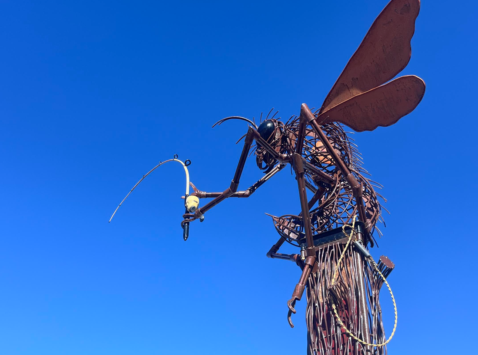 Photo by Nicolas Fierro