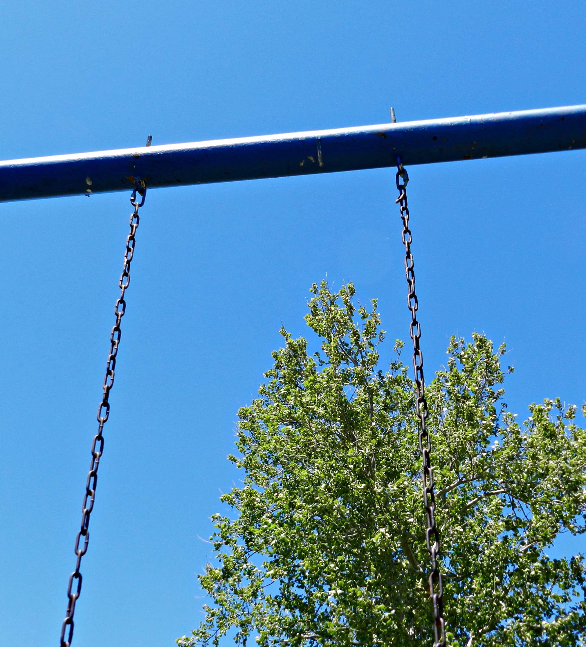 Photo courtesy Karen Madorin