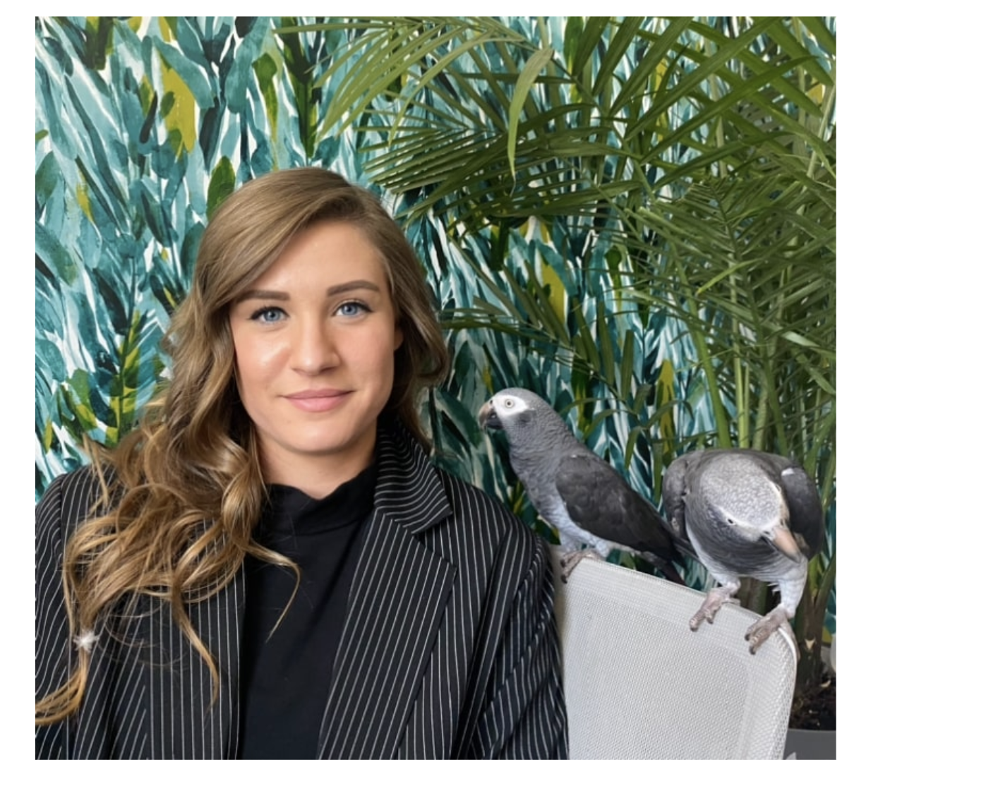 Sunset Zoo welcomes new Director