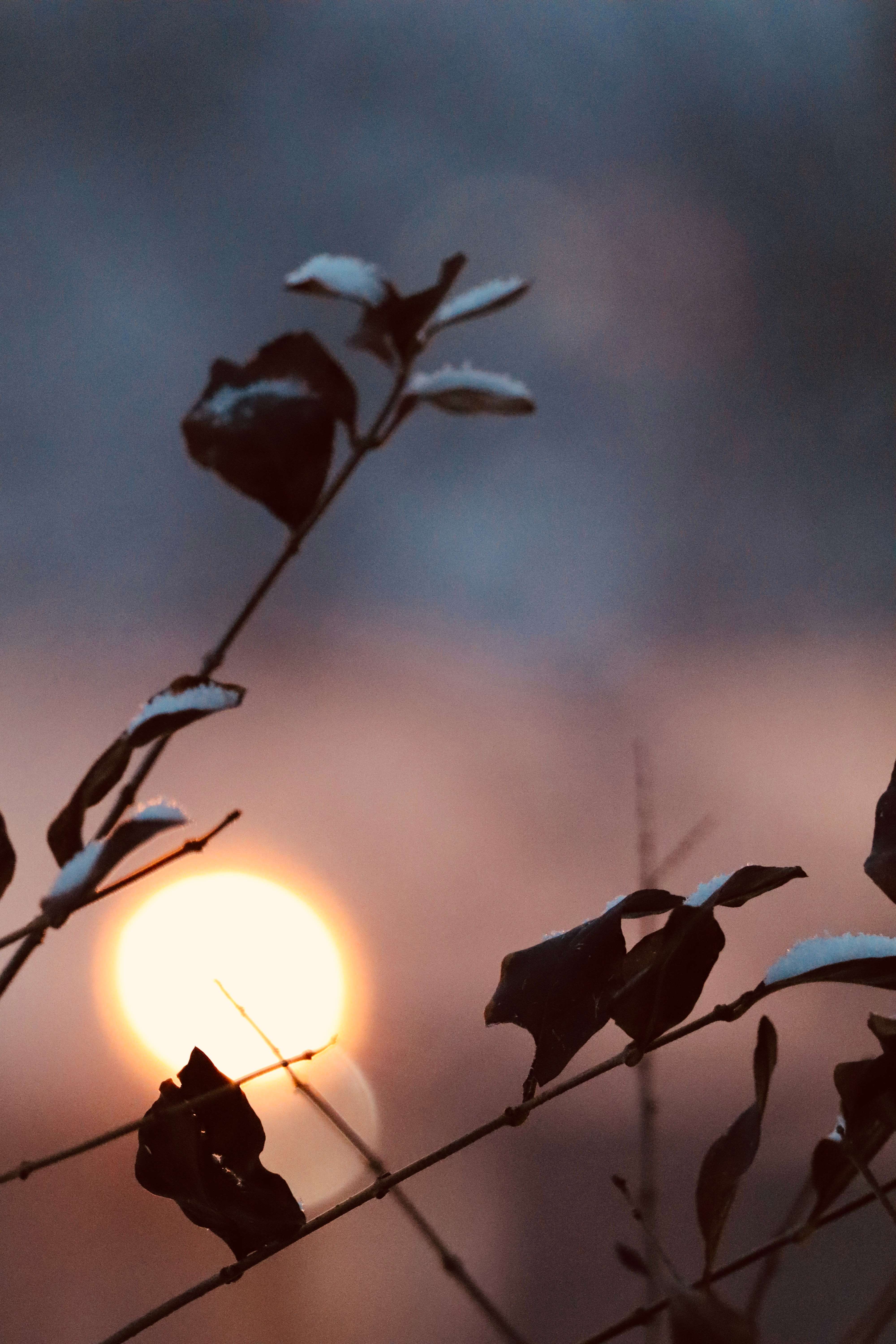 Photo submitted by Meriah Escarcega, Hays