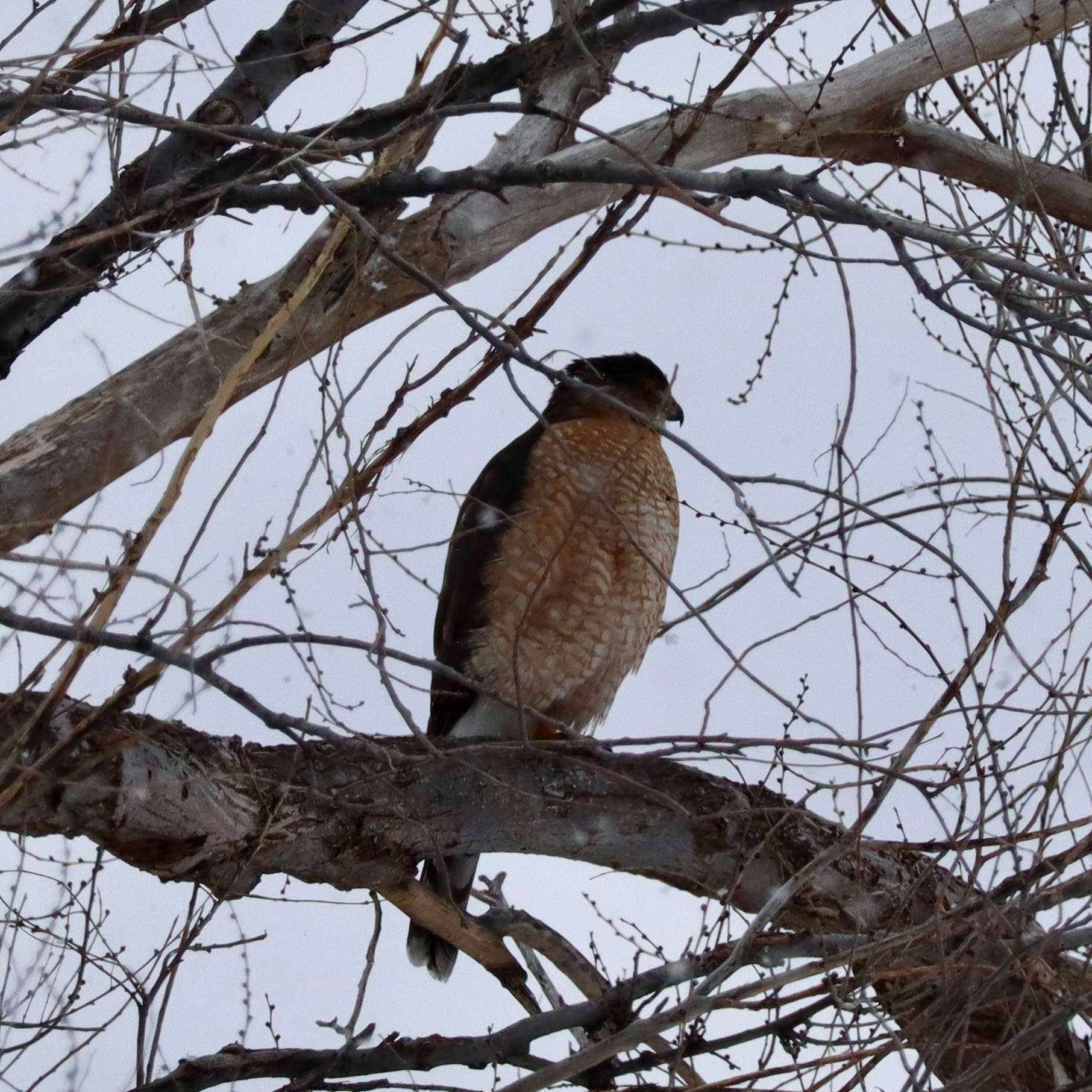 Photo submitted by Meriah Escarcega, Hays