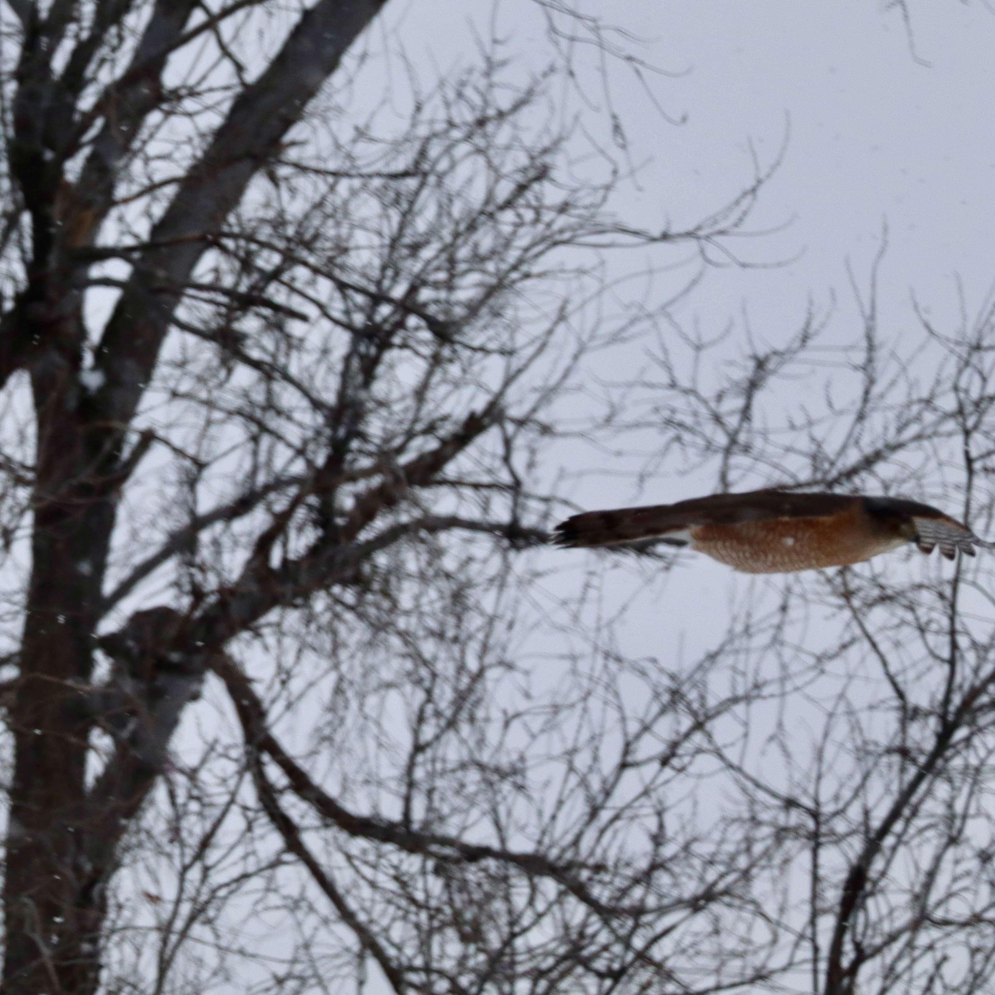 Photo submitted by&nbsp;Meriah Escarcega, Hays