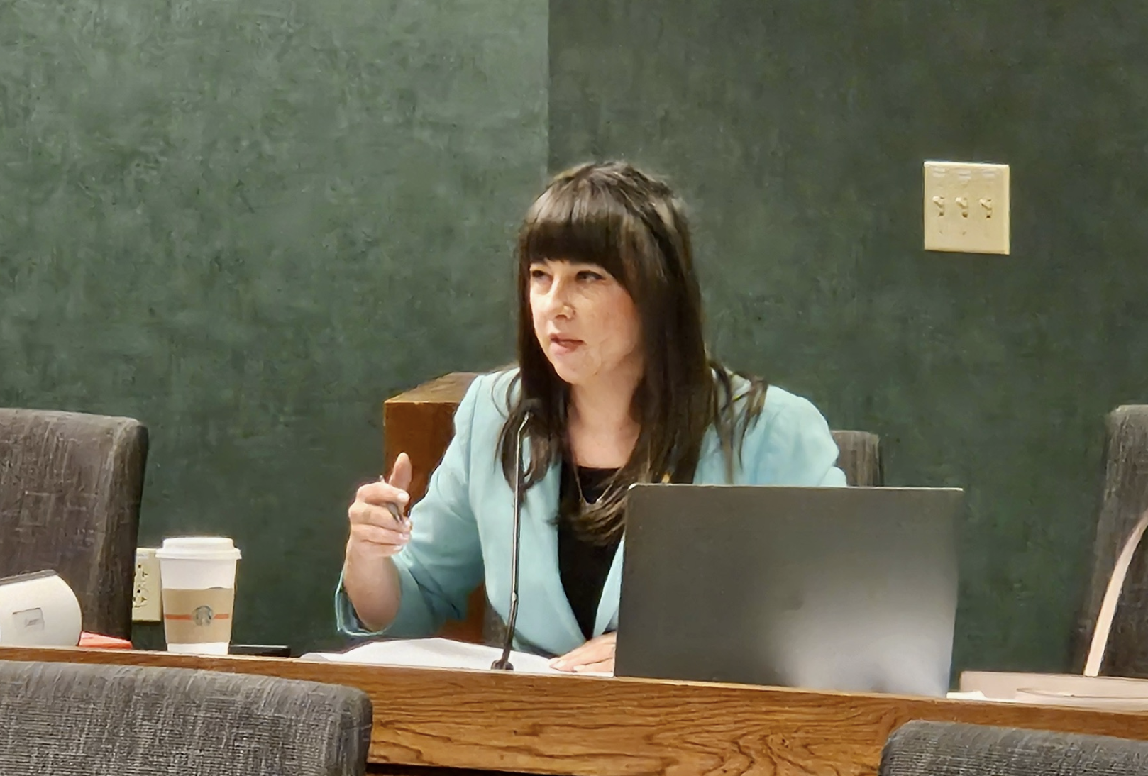 House Minority Leader Ashley Aune, D-Kansas City, asks questions about a proposal for a statewide vote to eliminate the Missouri income tax on Wednesday during a hearing of the House Commerce Committee (Rudi Keller/Missouri Independent).