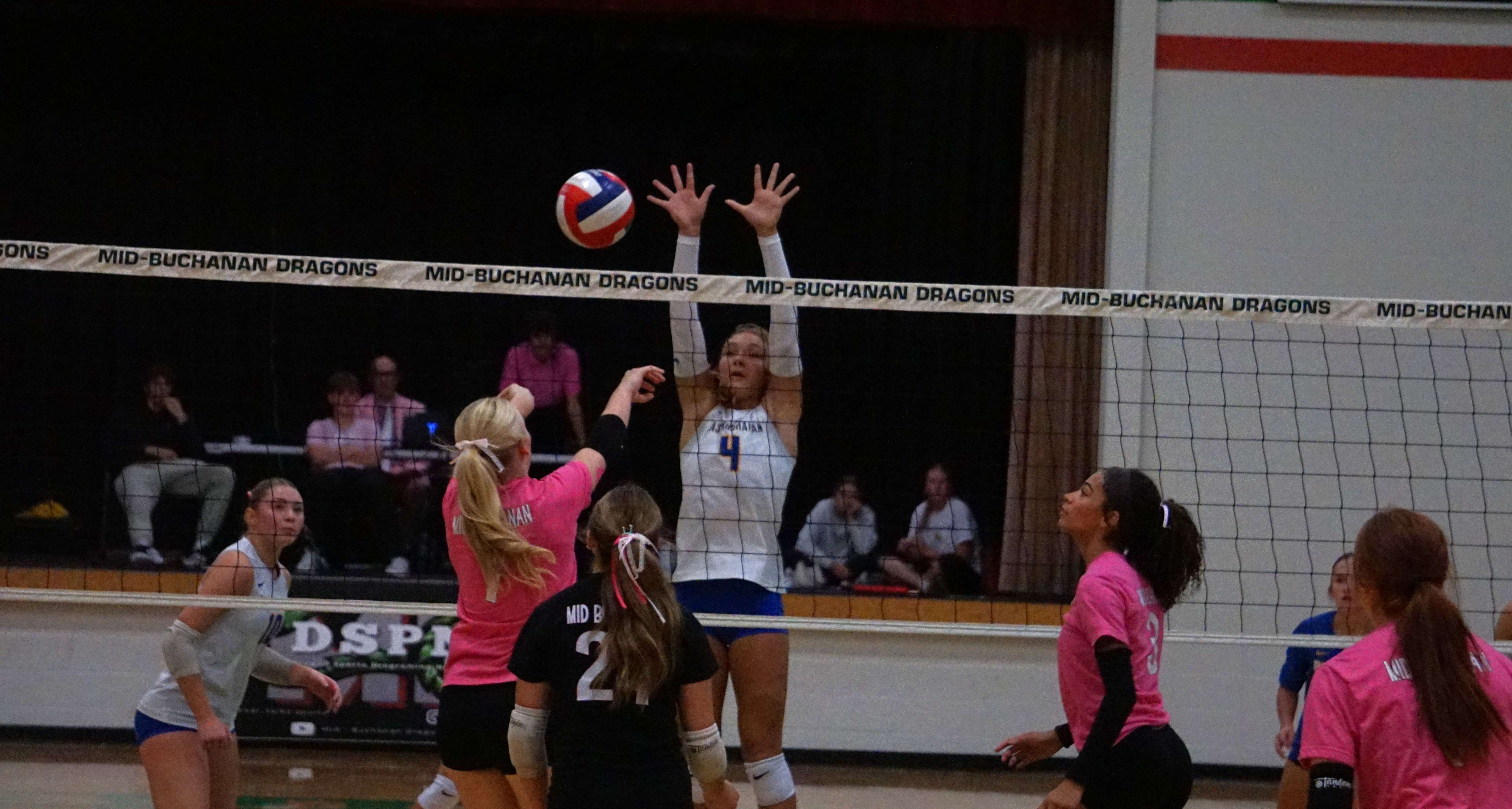 Mid-Buchanan's Tatum Moss (7) pushes the ball over the net/ Photo by Matt Pike