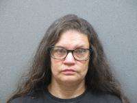 <b>Amanda Grace Schmidt - Attempt of a Class 4 Felony</b>