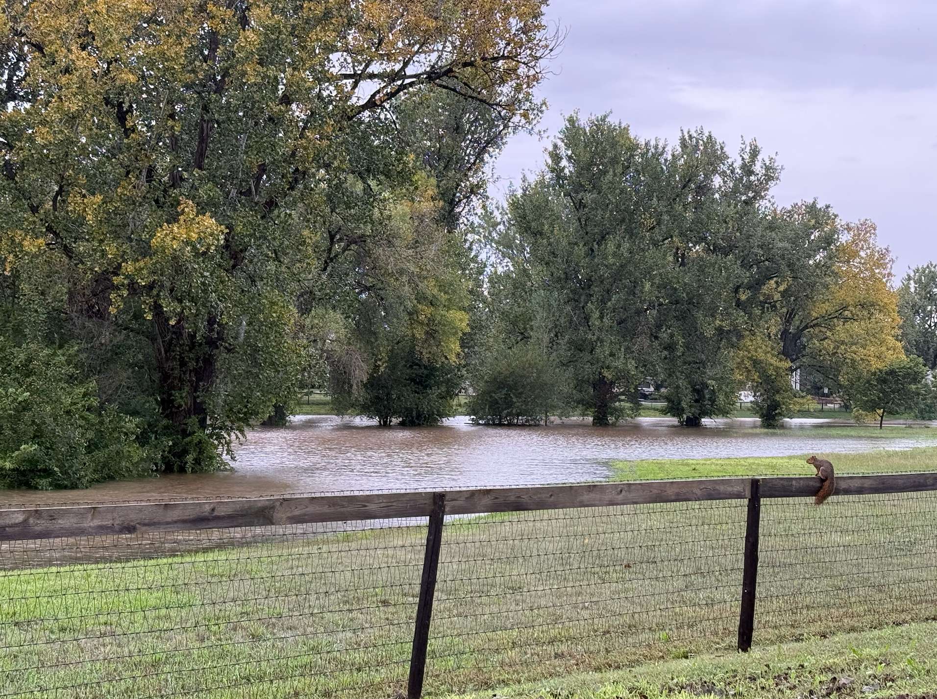 Van Doren pond off of 27th Street in Hays on Thursday. Photo by Cristina Janney/Hays Post