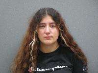 <b>Denise Ann Marie Moser - Domestic Assault 3rd Degree</b>