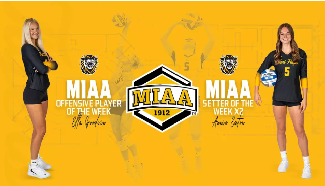 FHSU Athletics image