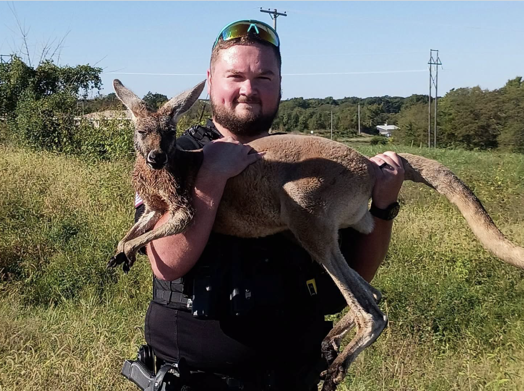 Photo Saline Co. Sheriff