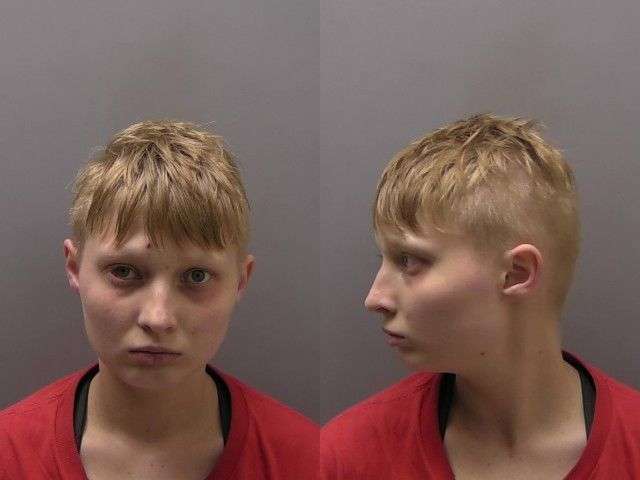 ELLIS LINDSEY STEALING 5000 BOND