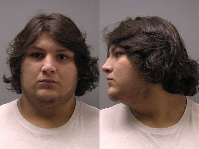PALMER ALEXANDER ASSAULT BOND DENIED