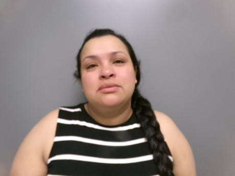 <b>Yolanda Del Carmen Roas - DUI-1st Offense, Driving Under Suspension, Lincoln County Warrant</b>