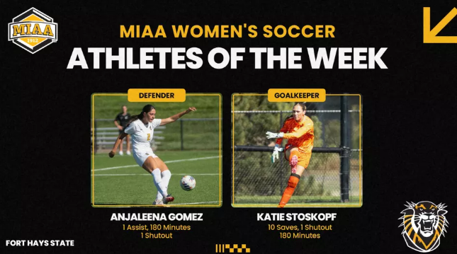 FHSU Athletics image