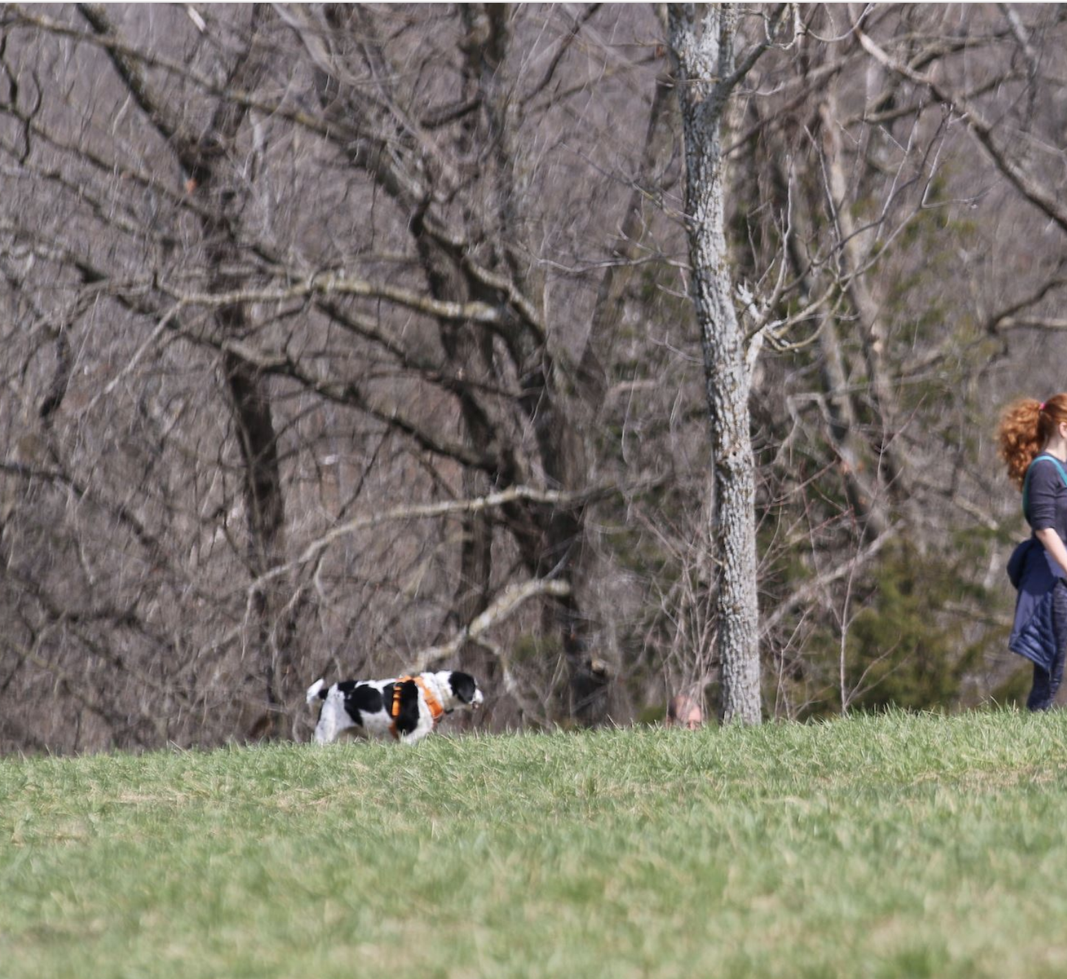 Shawnee Mission Parks and Rec