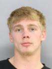 <b>Adain Cole Rapp - Warrant-Theft Unlawful Taking $1,500-$4,999</b>