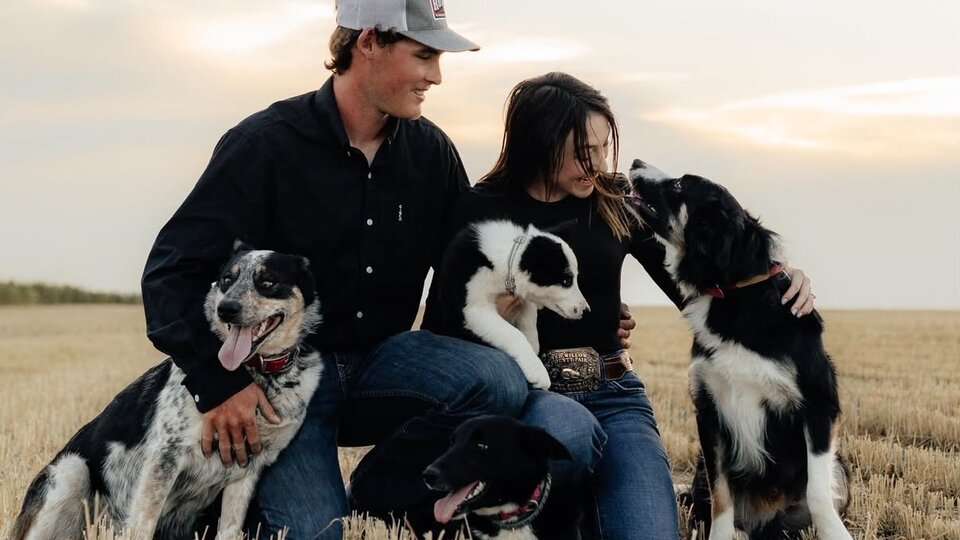 Wyatt Meyers, a May 2025 NCTA Agronomy graduate, and his wife, Paige, a Veterinary Technology student and campus ambassador, pose with their dogs. The couple shares a love of stock dog training and competition that keeps them connected to NCTA. (Courtesy NCTA)